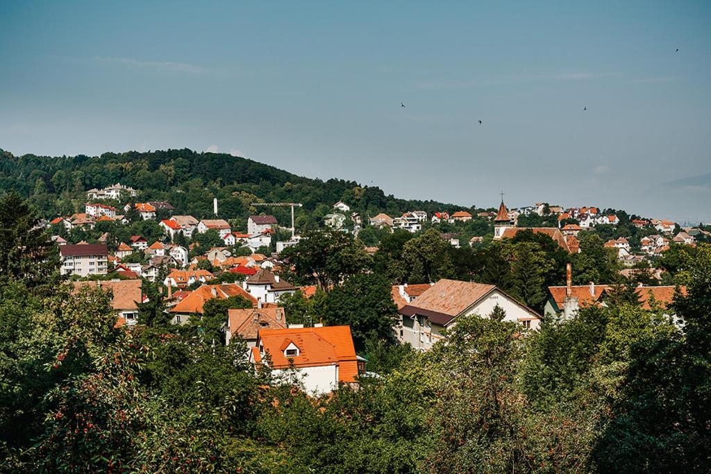 Old Citadel Hill Apartment Braşov Dış mekan fotoğraf
